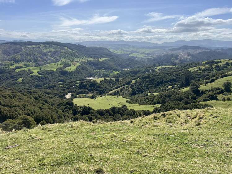 1050 Ellis Wallace Road Eskdale_0