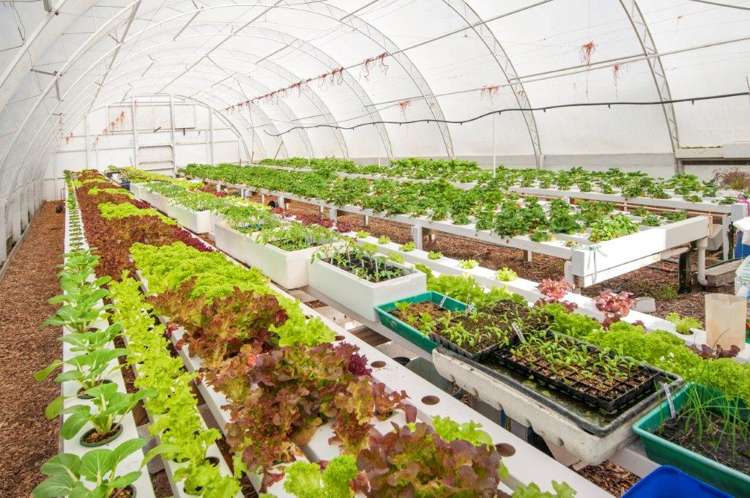 3 High Street Southbridge_16