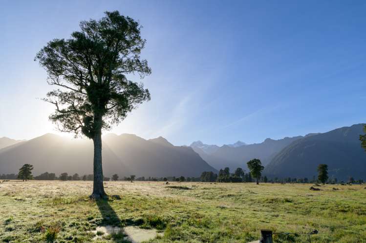 298 Cook Flat Road Fox Glacier_9