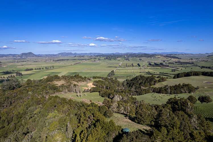 1261 Hukerenui Road Hukerenui_11