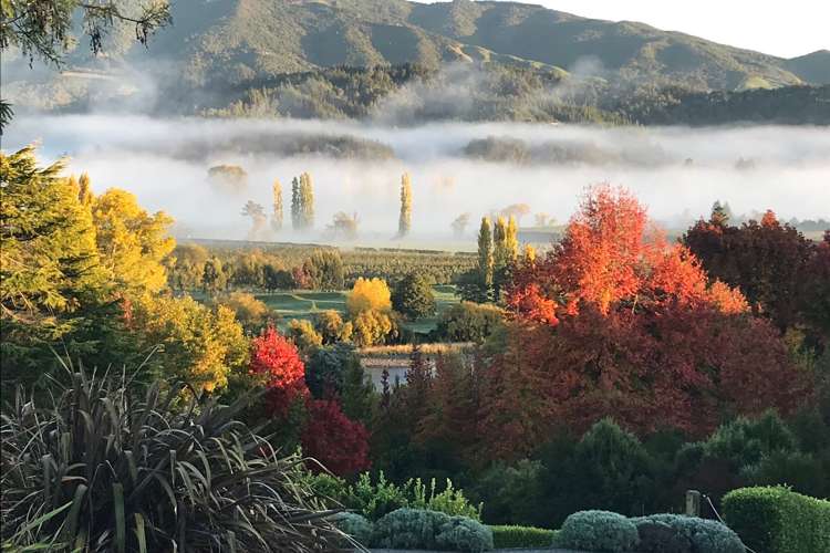 273 College Street Motueka_19