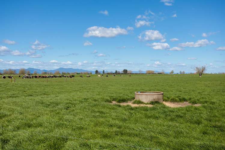 64 No 4 Road Morrinsville_20