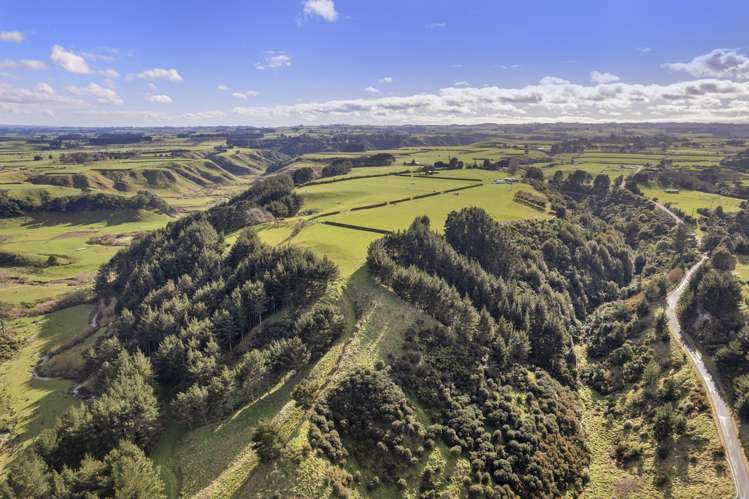 0n Whakamara Road Manutahi_15