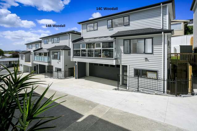 14c Woodall Place Totara Vale_1