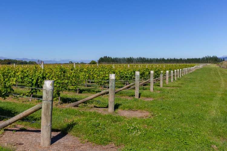 263 Chaytors Road Spring Creek_14