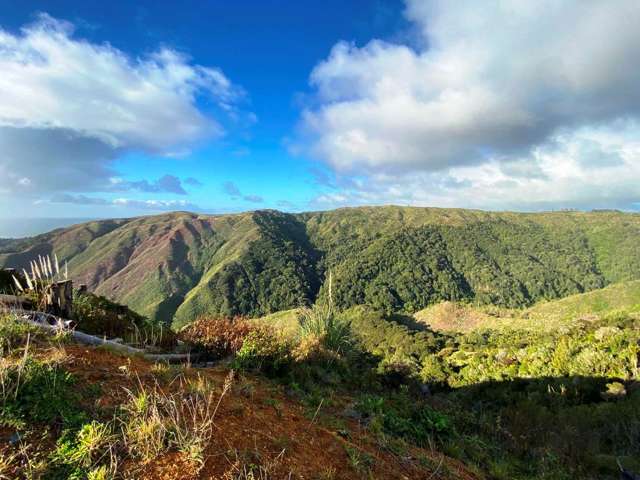 1036 Klondyke Road Port Waikato_1