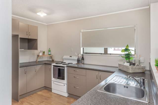 118a Studholme Street Morrinsville_3