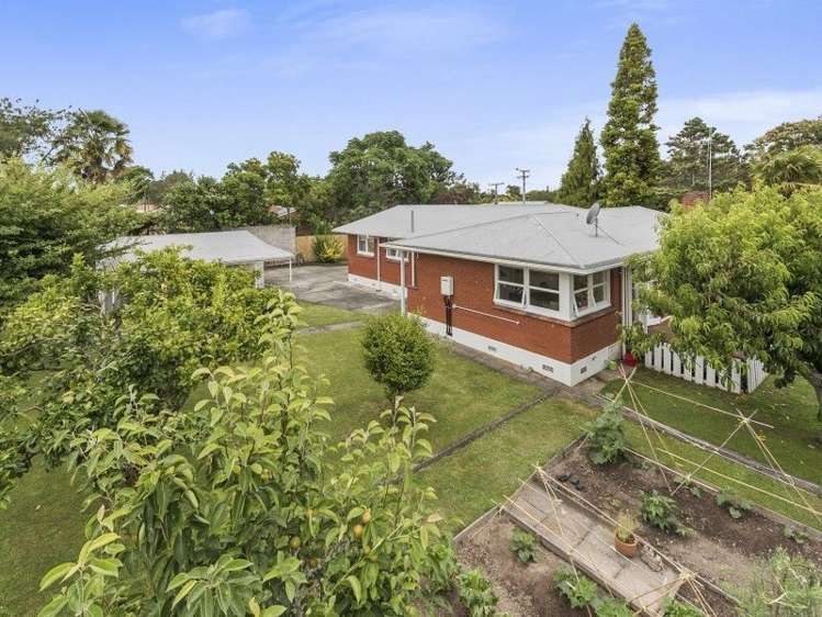 6 Winstone Avenue Chartwell_10