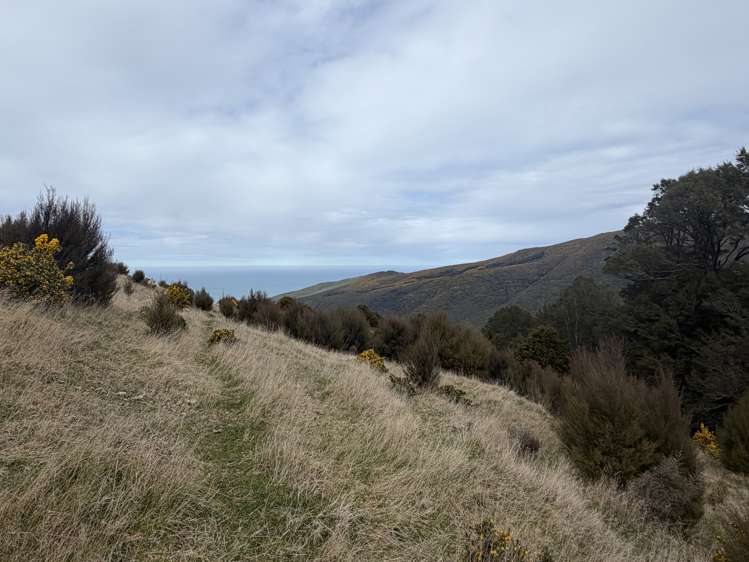 490 Long Bay Road Akaroa_28