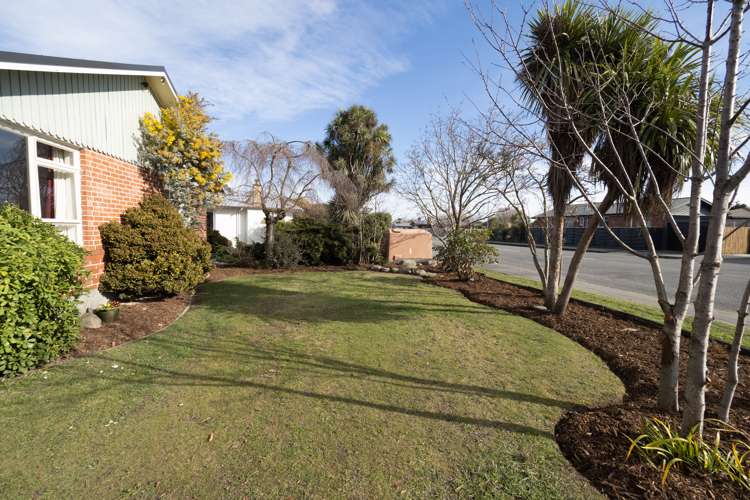 87 Grove Street Tinwald_19