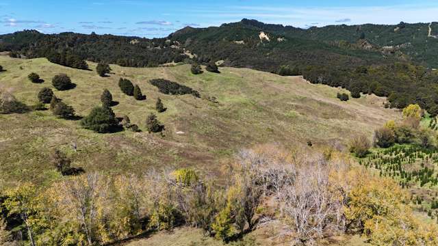 46 Buchanan Road Broadwood_2