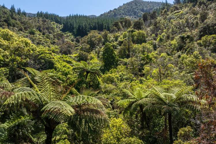 Double Bay, Reatihi Marlborough Sounds_9