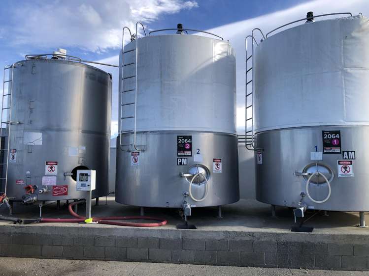 263 Domain Road Oxford_10