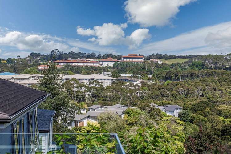 27a The Avenue Albany_40