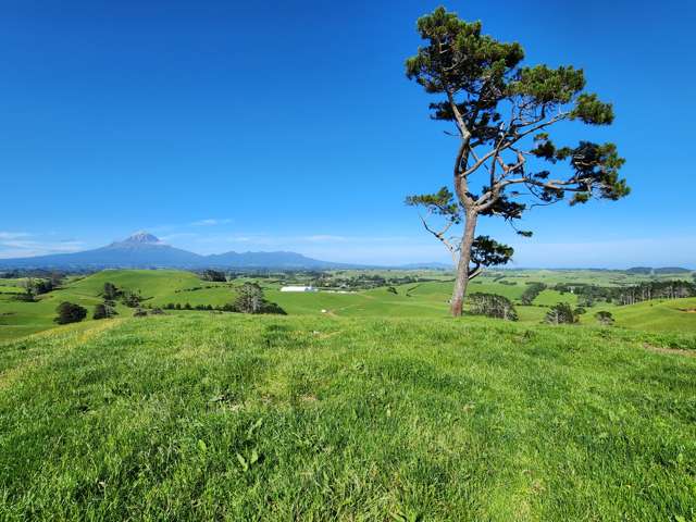 Lot 1 Wortley Road Waiongana_1