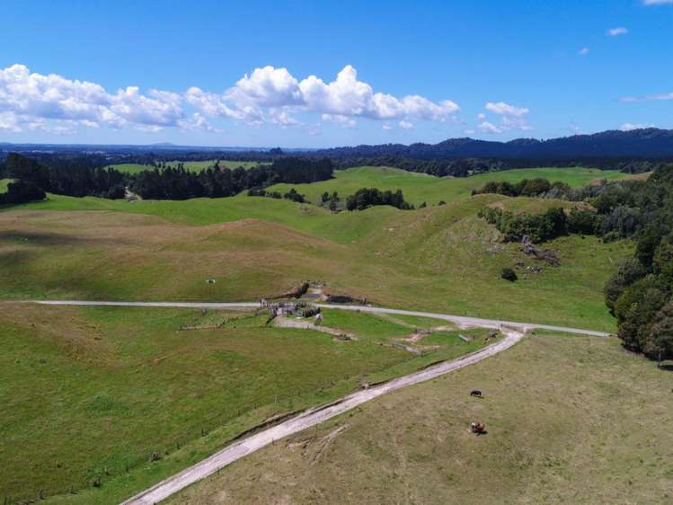 627 South Road Mamaku_25