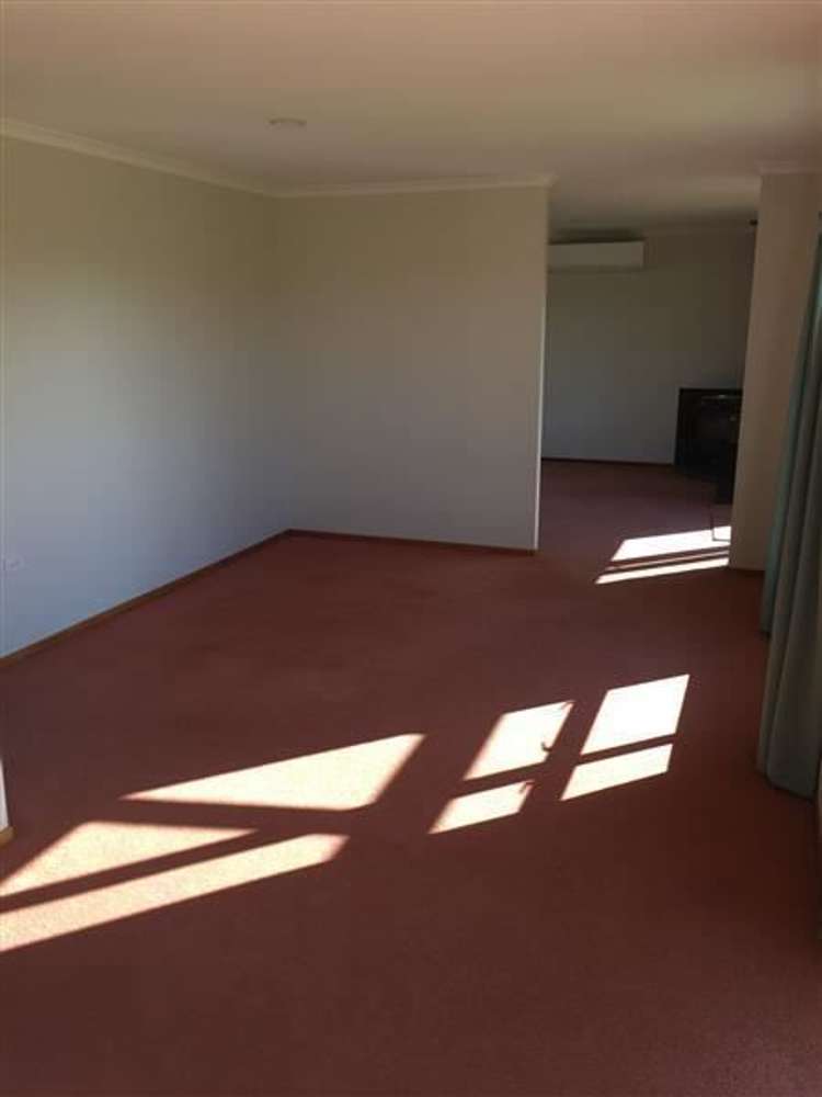 43 Lincoln Road East Inglewood_13