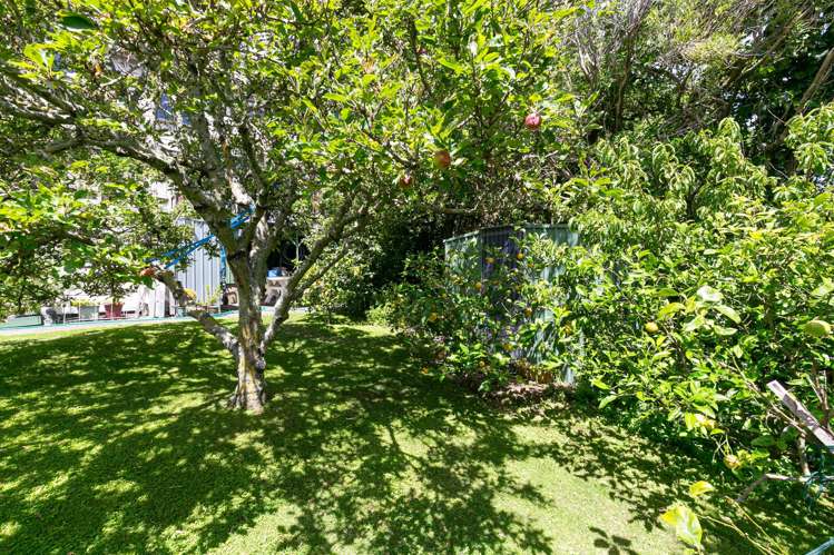 66A Otaki Street Miramar_19