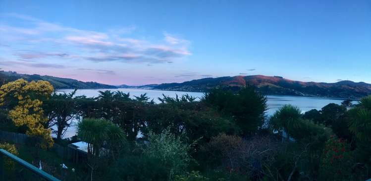 15 Mclelland Street Macandrew Bay_22