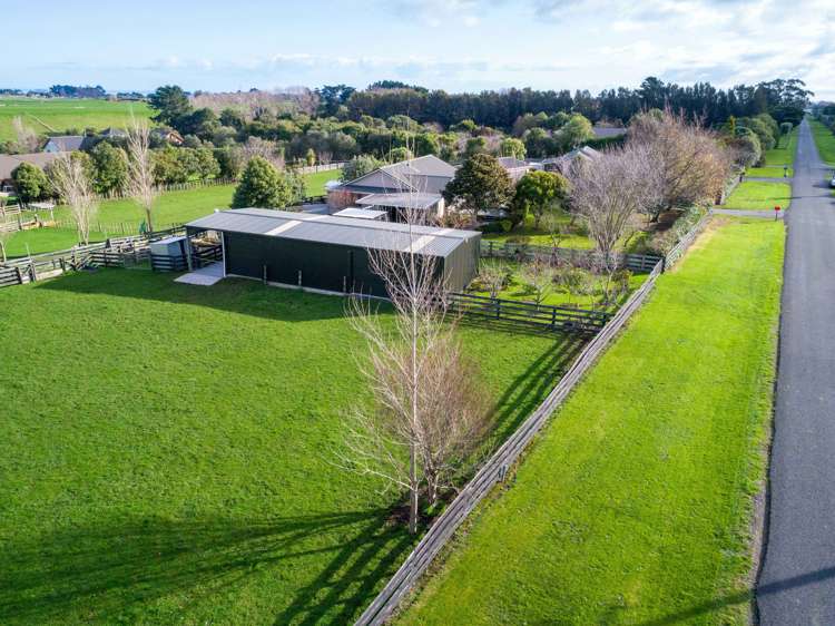 451 Kaikokopu Road Brunswick_18