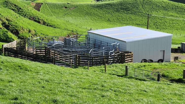 348 Ratapiko Road Ratapiko_9