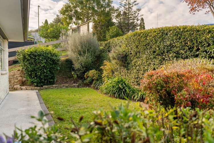 214B Bellevue Road Bellevue_16