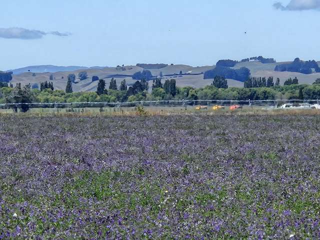 458 Wakarara Road Ongaonga_3