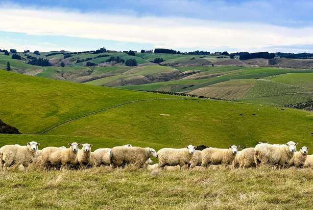 140 + 612 Reserve Road Tuapeka Mouth_2