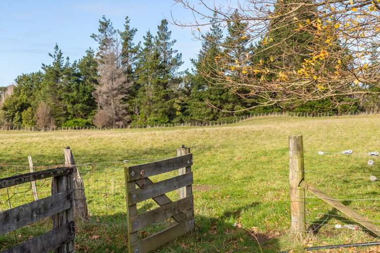 803 Norfolk Road Carterton_8