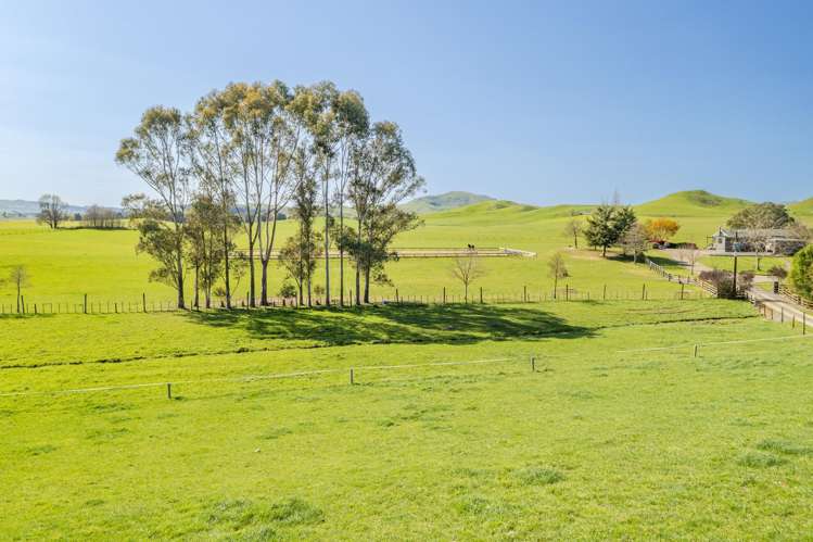 199B Elsthorpe Road Otane_4