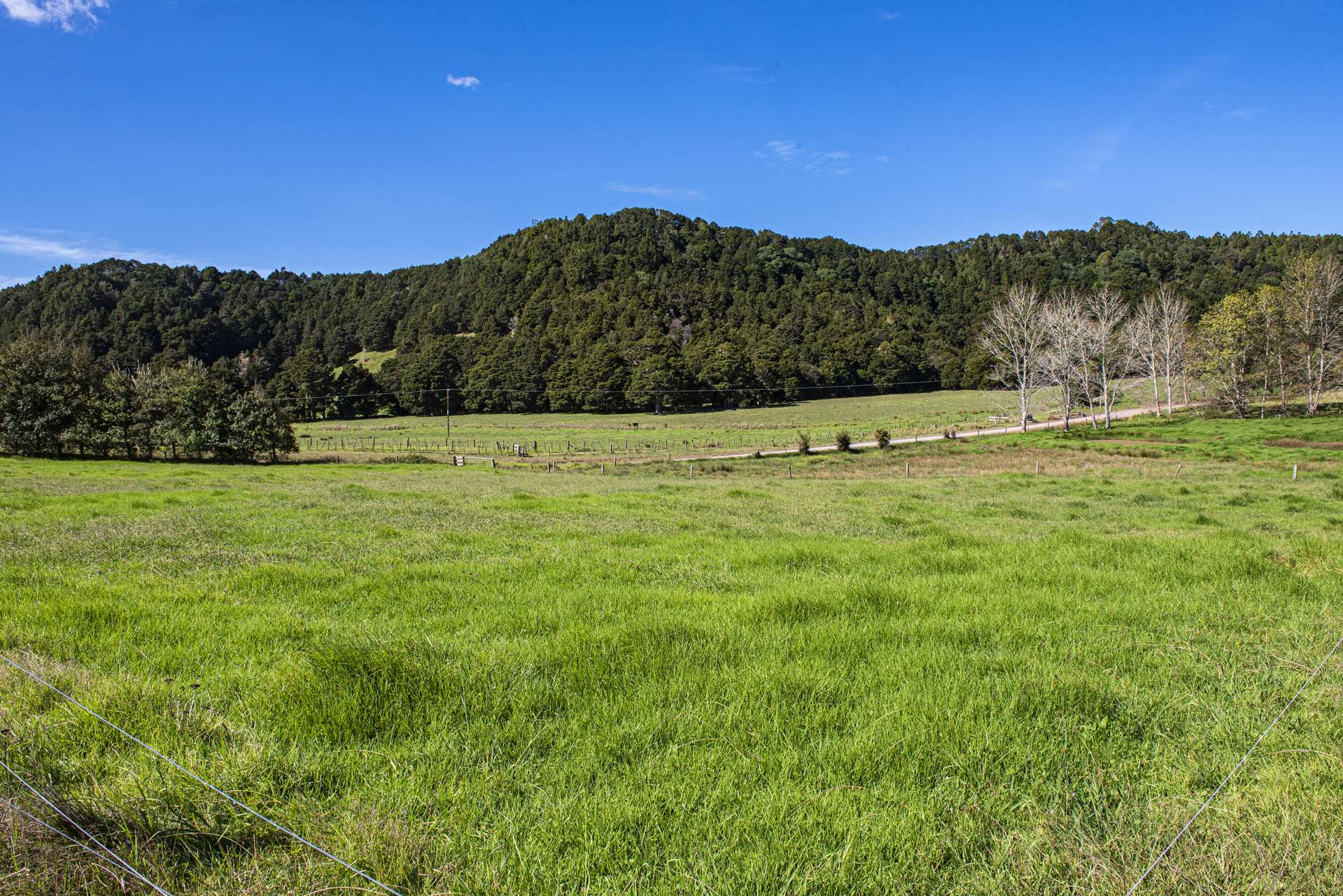 100 Lowe Road Hikurangi_0