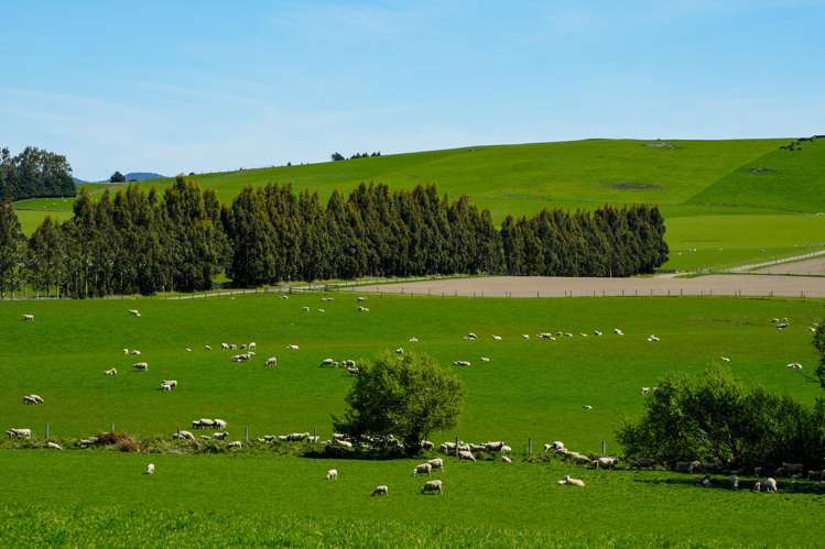 Longridge Road Longridge North_7