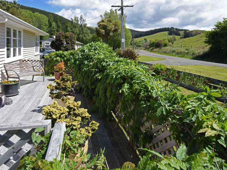 23 Blackhill Road Tinui_16