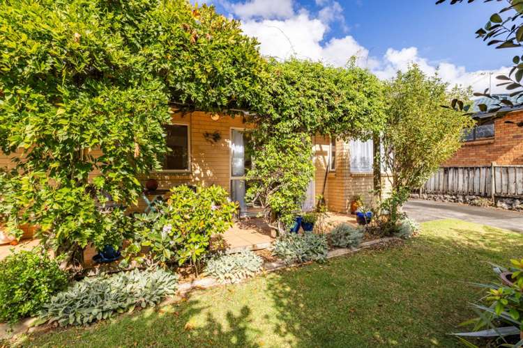 14a Cannon Drive Kerikeri_8