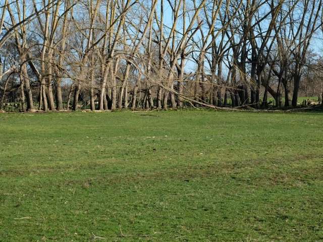 37 Armitage Road Huntly_1