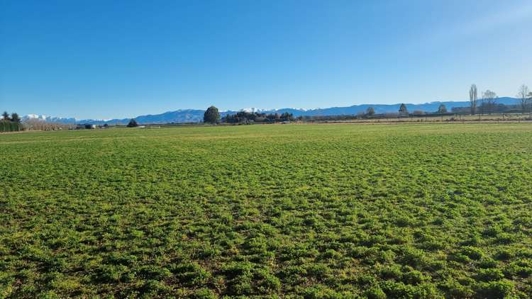 472 Pesters Road West Eyreton_11