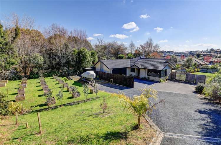 19b Rosehill Place Nawton_0