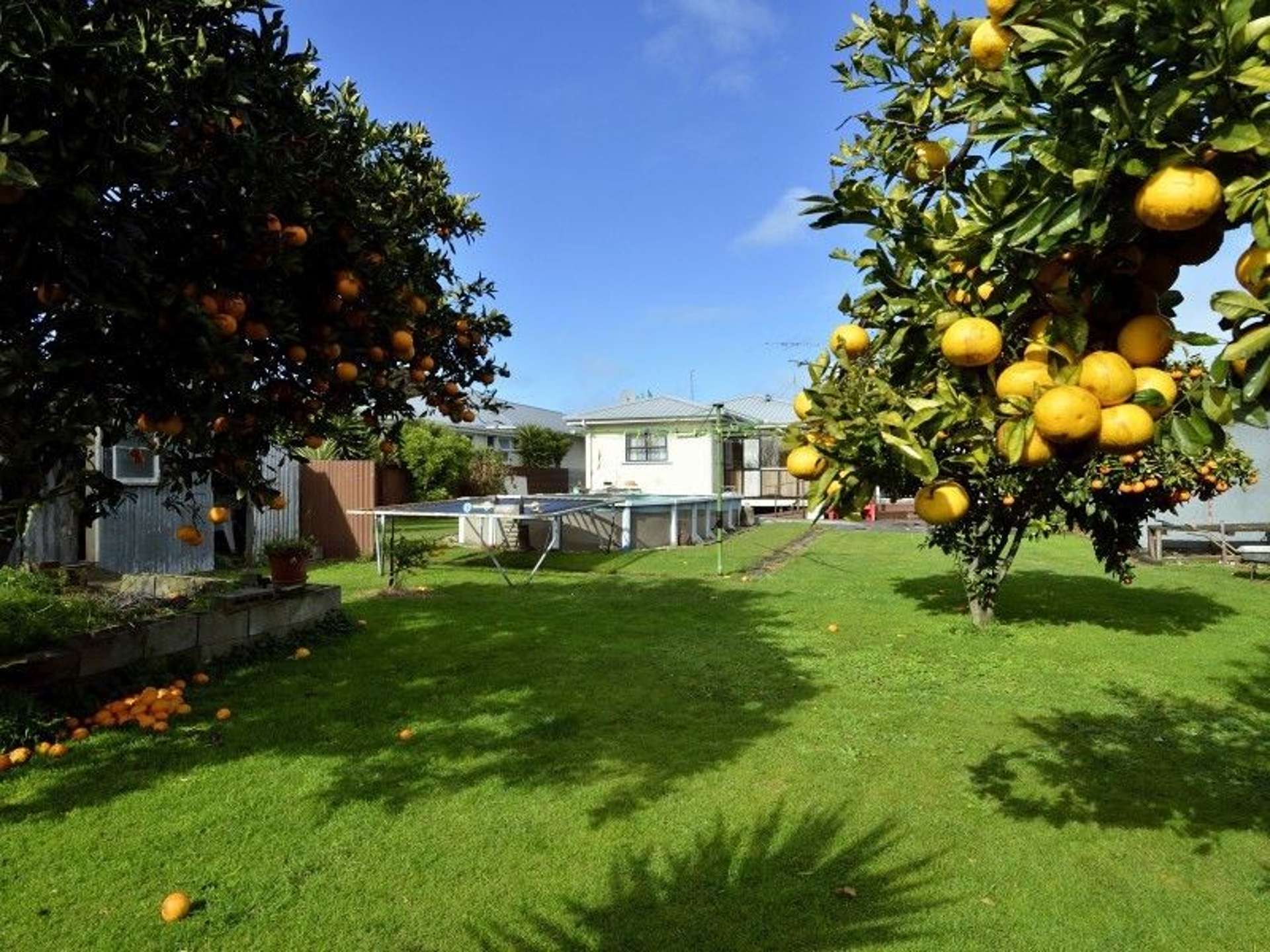 15 Lyndhurst Street Awapuni_0