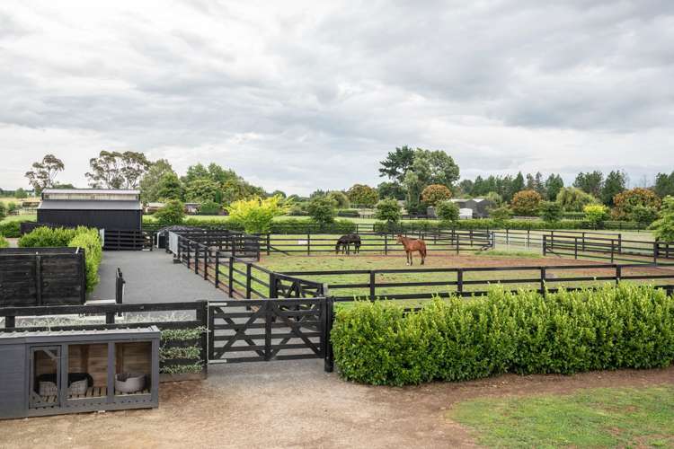 381 Mystery Creek Road Ohaupo_12