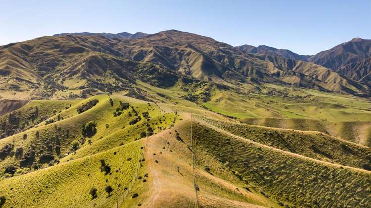 Spotsburn, Lot 2, 928 Cardrona Valley Road Cardrona_12