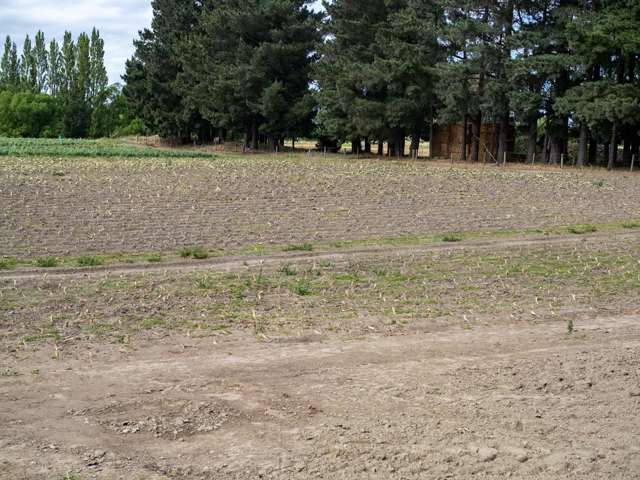 95 Acton Road Rakaia_4