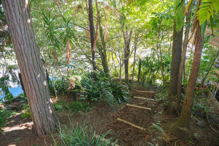 81 Springfield Road Springfield_10