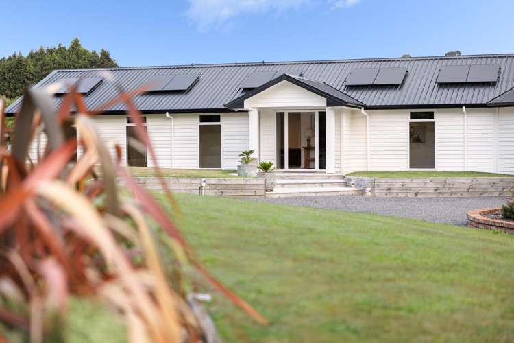 145A Whakamarama Road Whakamarama_20
