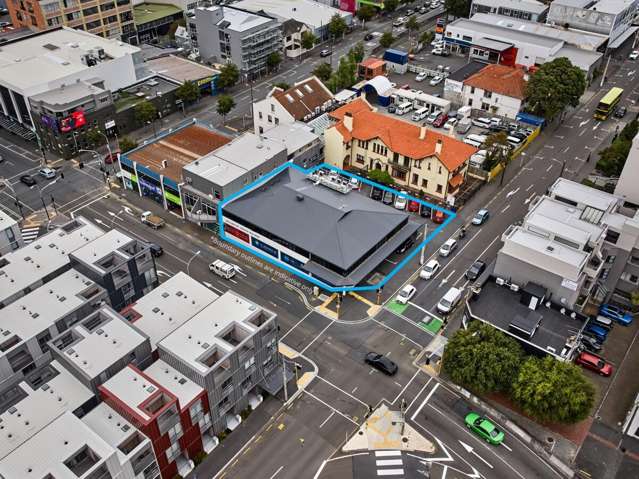 Sun-Soaked Te Aro Landmark with Income and Profile