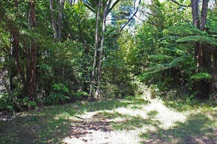 248 Rosalie Bay Road Great Barrier Island (Aotea Island)_6