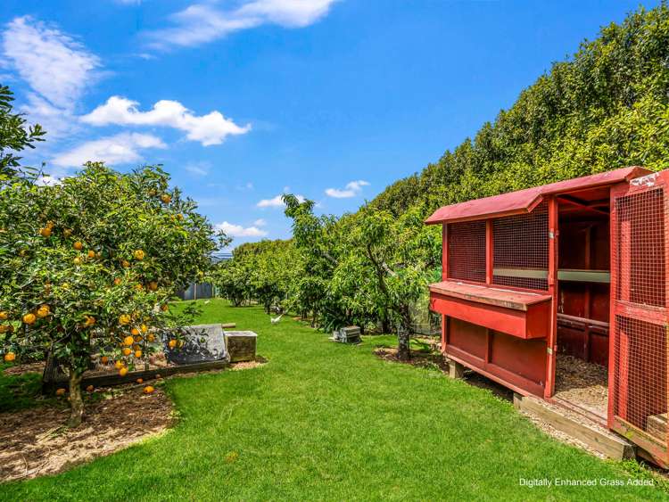 265 Hot Springs Road Katikati_15