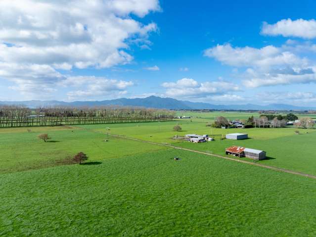 67 Wiseman Road Springdale_4