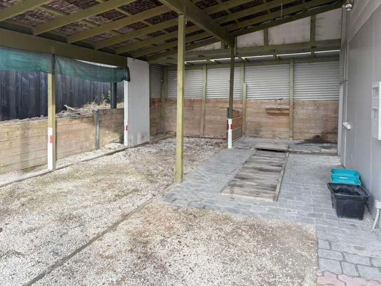 101 Tamatea Road 11210_12