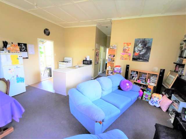 42 Cole Street Dannevirke_2