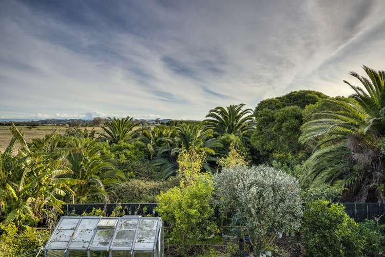 29a Te Awa Avenue Te Awa_12